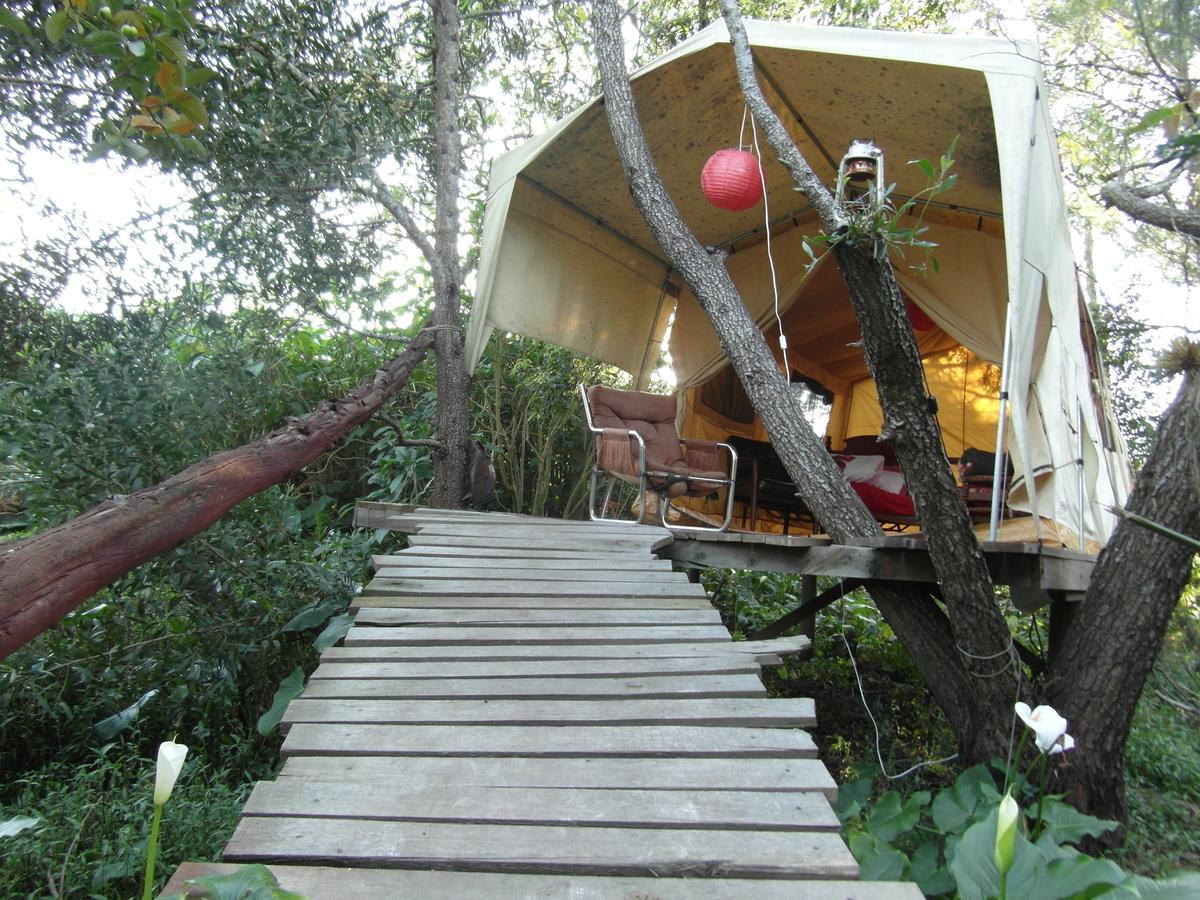 Dijembe Backpackers Lodge Stormsrivier Exterior foto